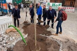 Blumeneschen und Spielgeräte für mehr Wohlfühlfaktor vor dem Brandenburger Rathaus