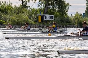 Ruderboote am 1.000 m-Start.