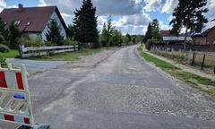 Der Buchenweg auf der "Eigenen Scholle".