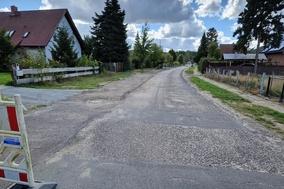 Der Buchenweg auf der "Eigenen Scholle".