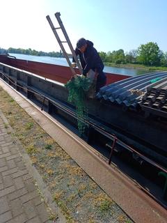 Reh wurde aus dem Schiff herausgeholt