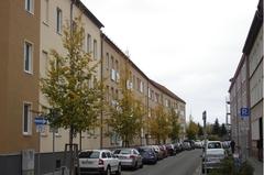 Straße mit jungen Bäumen am Rand