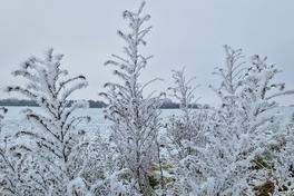 Eisige Winter haben auch ihre schönen Seiten ...