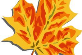 Abwechslungsreiches Programm in den Herbstferien