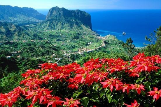 Insel Madeira