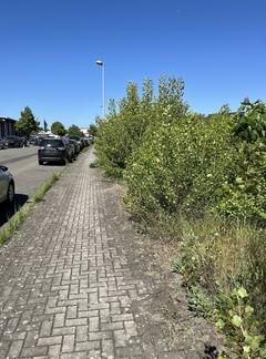 verschmutzter Fahrbahnrand