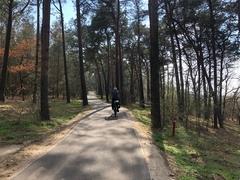 OB Steffen Scheller: Beliebte Aussichtsplattform in Kirchmöser wieder geöffnet / Investition in Radweg