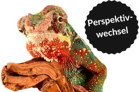 In der Stadt Brandenburg starten im Oktober die Perspektivwochen.