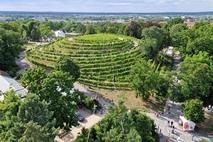 Der Weinberg mit Bergfestausstattung drumherum.