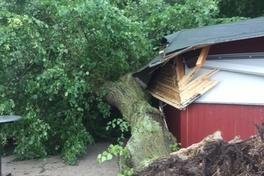 Einsatzgeschehen der Regionalleitstelle Brandenburg an der Havel 