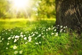 Frühlingswanderung durch den Krugpark