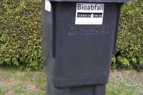 Festgefrorener Müll in Restmülltonnen oder Biotonnen – Tipps für den Winter