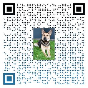 QR-Code für Tiere suchen ein Zuhause.
