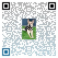 QR-Code für Tiere suchen ein Zuhause.
