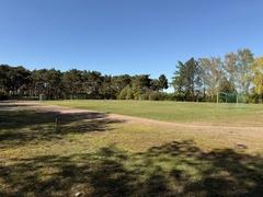 Blick auf den Sportplatz Magnus Hoffmann Schule