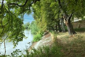 Grüne Landschaft