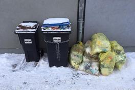 Abfallentsorgung und Winterdienst – eine große Herausforderung bei der Witterung