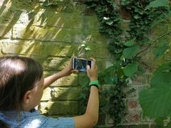 Damian auf Motivsuche