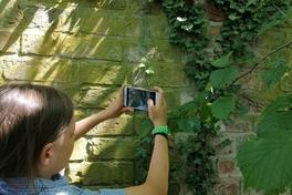 Damian auf Motivsuche