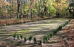 Weg durch den Friedhof