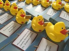 Päckchen mit QuietscheEnte für den Landtag und die Landesregierung