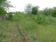 "Grünachse Marienberg – Nord"