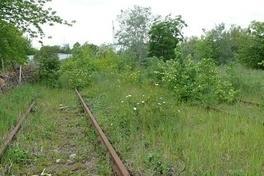 "Grünachse Marienberg – Nord"