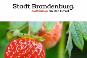 Es ist Zeit für den Garten-Markt im Stadtzentrum.