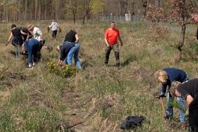 Mitarbeiterinnen und Mitarbeiter der Brandenburger Bank sehr aktiv beim pflanzen
