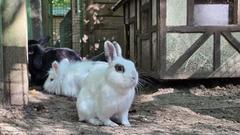 Und Tiere hat der Krugpark natürlich auch zu bieten.