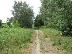 "Grünachse Marienberg – Nord"