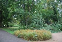 Sturmschäden im Humboldthain