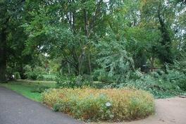 Sturmschäden werden beseitigt – Bürgerpark Marienberg gesperrt