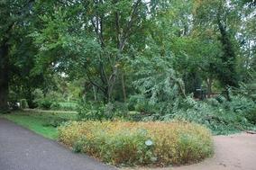 Sturmschäden werden beseitigt – Bürgerpark Marienberg gesperrt