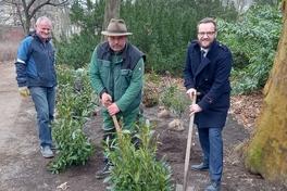 Frühlingserwachen im Stadtgebiet –  Pflanzungen beginnen