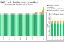 Corona-Wochengrafik des Gesundheitsamtes