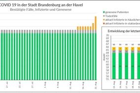 Corona-Wochengrafik des Gesundheitsamtes