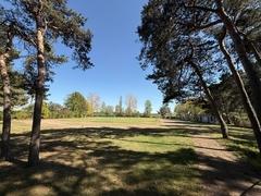 Blick auf den Sportplatz Magnus Hoffmann Schule