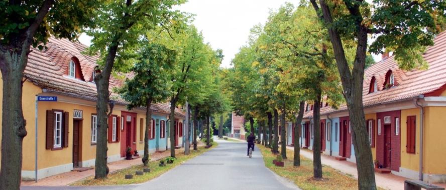 Grüne Allee mit beidseitigen Wohnhäusern