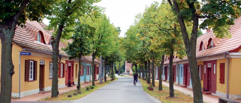 Grüne Allee mit beidseitigen Wohnhäusern