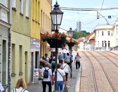 So wie in der Hauptstraße gibt es stadtweit einige kleine durch Spenden finanzierte Blütenträume.