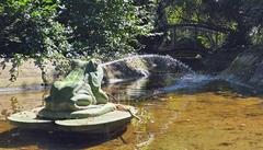 Der Frosch vom Humboldthain.