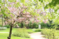 Geholz- und Baumpflege im Humboldthain