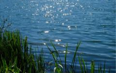 Badesee