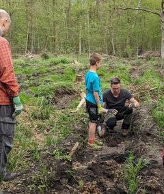 Pflanzaktion der Peterson Technologies GmbH im Brandenburger Stadtwald.