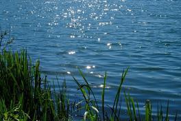 Eröffnung der Badesaison 2020 wird verschoben