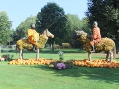 auf dem Gelände der Landesgartenschau