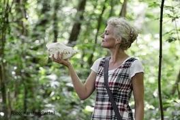 Fräulein Brehms Tierleben Canis lupus – Der Wolf