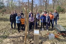 Mitglieder der Selbsthilfegruppe Parkinson Brandenburg an der Havel pflanzten im Bürgerwald im Beisein des Beigeordneten Thomas Barz einen Ahorn.