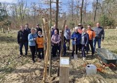 Mitglieder der Selbsthilfegruppe Parkinson Brandenburg an der Havel pflanzten im Bürgerwald im Beisein des Beigeordneten Thomas Barz einen Ahorn.